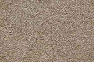 Ковролин Radici Lord Cardamomo 327E фото  | FLOORDEALER